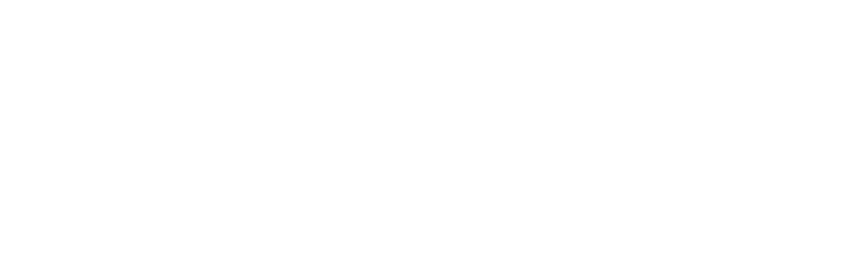 Buffalo Endovascular & Vascular Surgical Associates (BEVSA) Logo